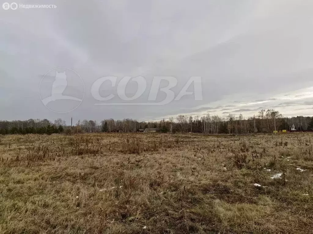 Участок в Тюменский муниципальный округ, деревня Коняшина (10 м) - Фото 2