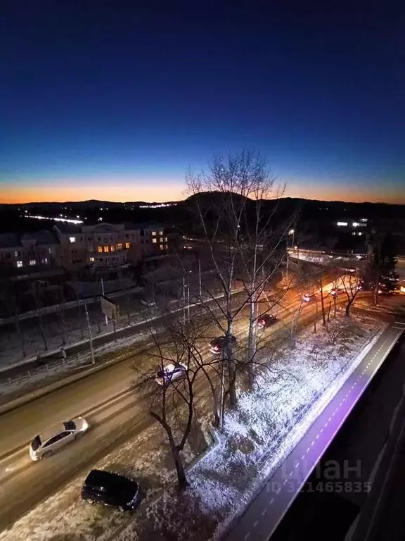 3-к кв. Еврейская автономная область, Биробиджан просп. 60-летия СССР, ... - Фото 1