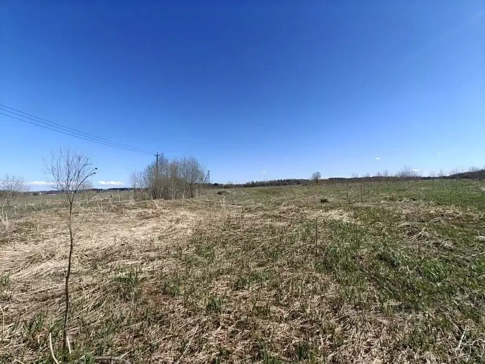 Участок в Ленинградская область, Ломоносовский район, Лопухинское ... - Фото 2