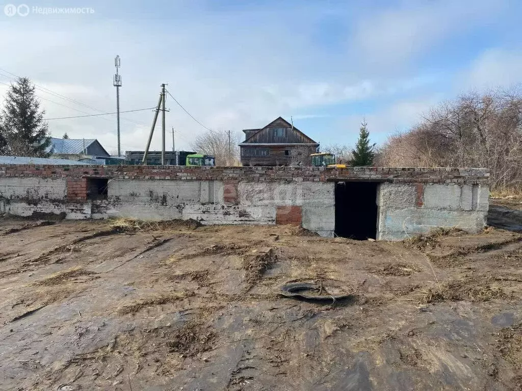 Участок в Курганская область, Шадринский муниципальный округ, село ... - Фото 0