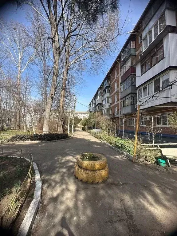 1-к кв. Краснодарский край, Краснодар Ставропольская ул., 242 (31.1 м) - Фото 1