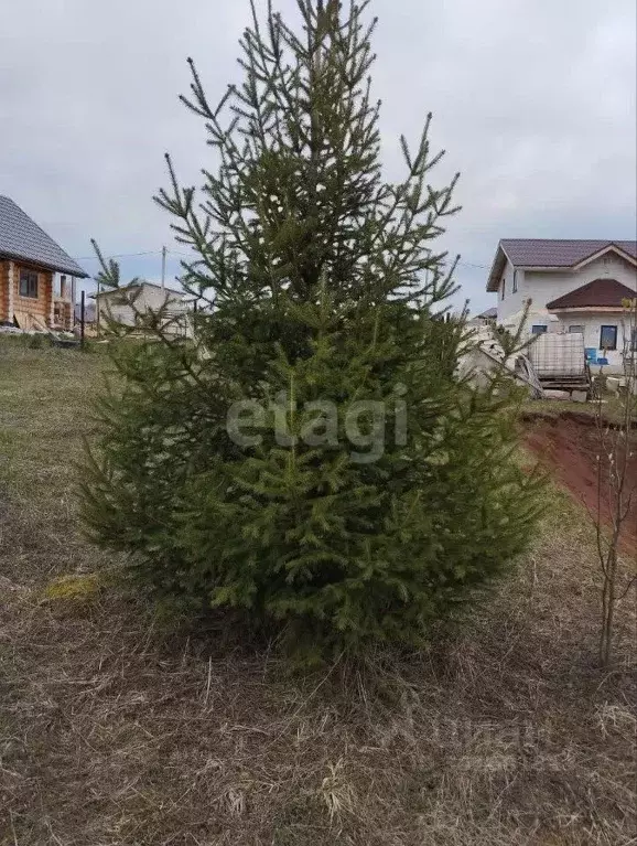 Участок в Пермский край, Краснокамский городской округ, д. Новоселы  ... - Фото 0