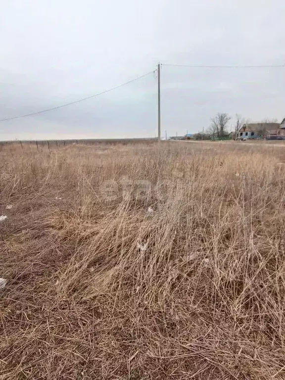 Участок в Ростовская область, Кагальницкий район, Кировское с/пос, ... - Фото 0