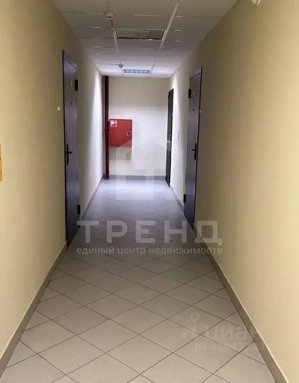 Студия Санкт-Петербург просп. Просвещения, 43 (25.2 м) - Фото 1