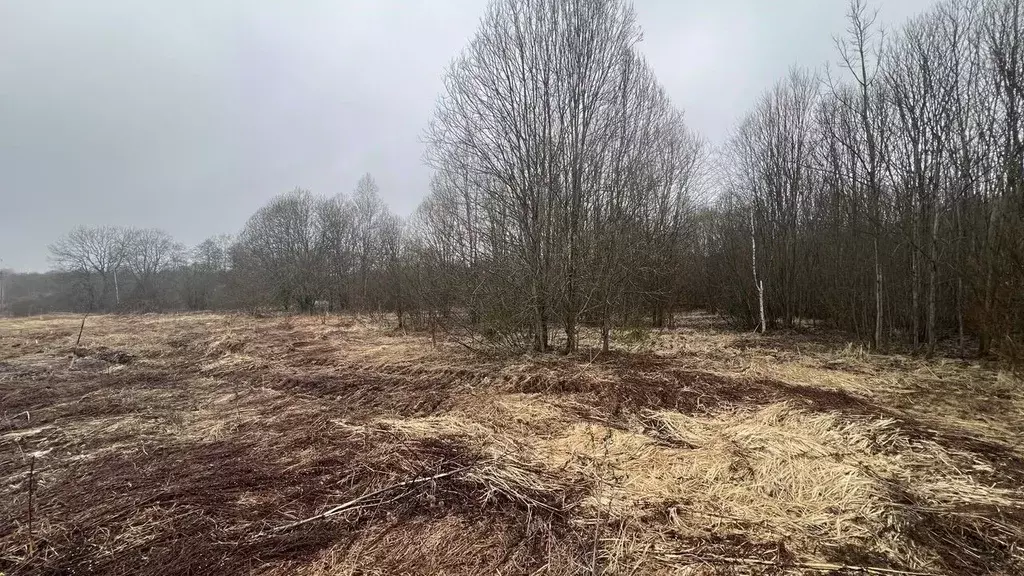Участок в Московская область, Истра муниципальный округ, д. Шапково  ... - Фото 0