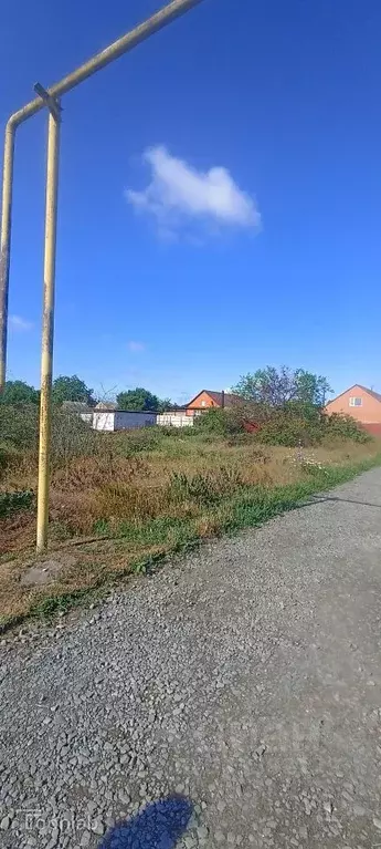 Участок в Ростовская область, Азовский район, Новоалександровка хут. ... - Фото 2