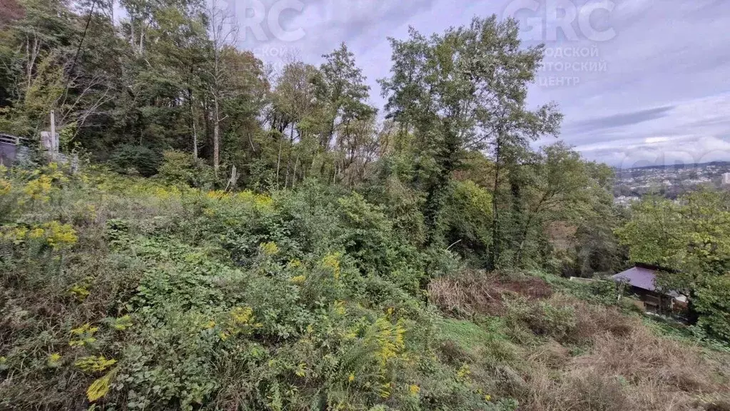 Участок в Краснодарский край, Сочи ул. Высокогорная (4.5 сот.) - Фото 2