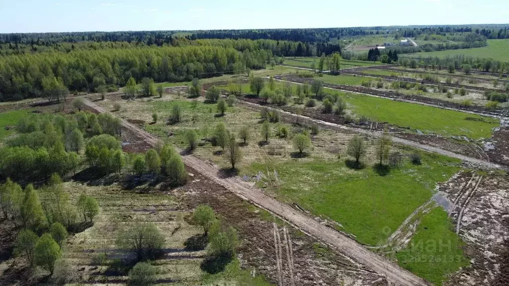 Участок в Московская область, Клин городской округ, Коськово кп 161 ... - Фото 2