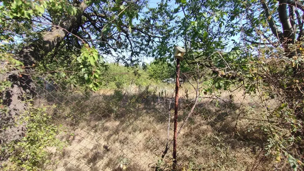 Участок в Ростовская область, Неклиновский район, Синявское с/пос, ... - Фото 2