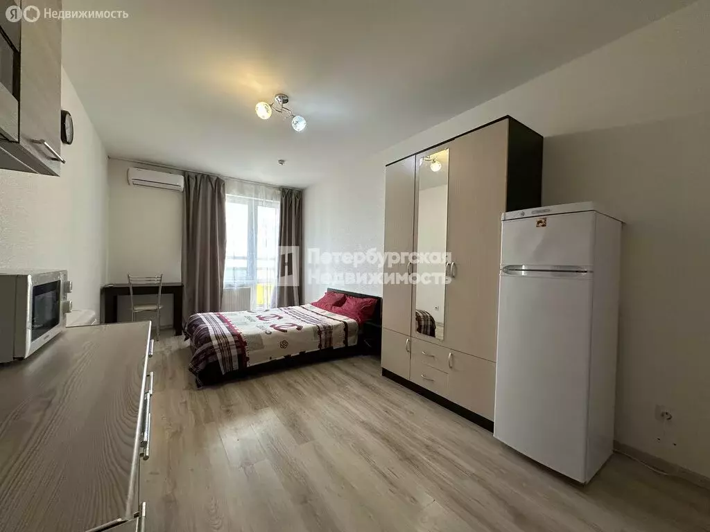 Квартира-студия: посёлок Шушары, Старорусский проспект, 13к1 (23.8 м) - Фото 0