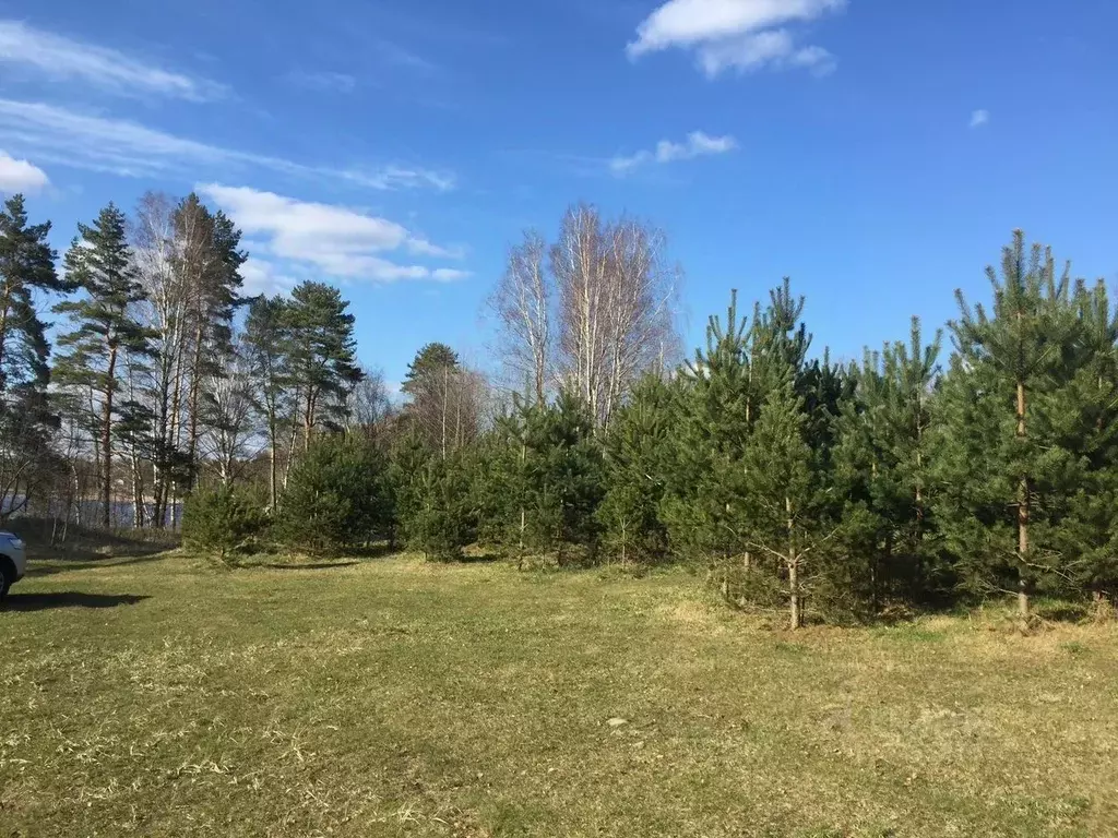 Участок в Ленинградская область, Лужский район, Скребловское с/пос  ... - Фото 1