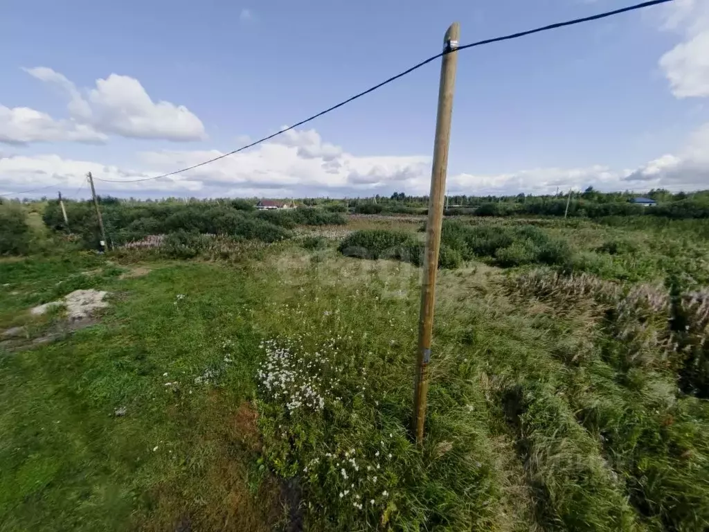 Участок в Тюменская область, Тюмень Большое Царево-1 СНТ,  (9.7 сот.) - Фото 1