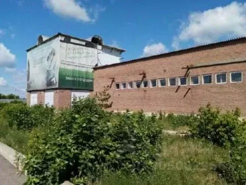 Производственное помещение в Воронежская область, Новоусманский район, ... - Фото 1