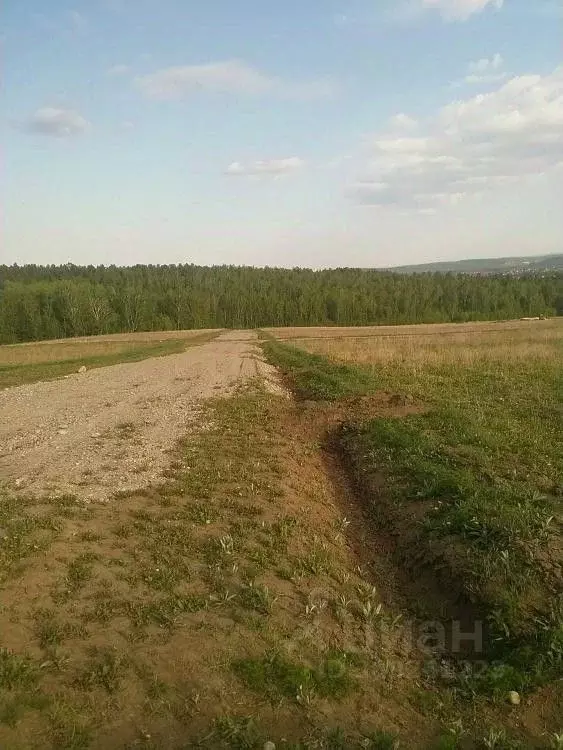 Участок в Иркутская область, Иркутский район, с. Мамоны  (10.0 сот.) - Фото 1