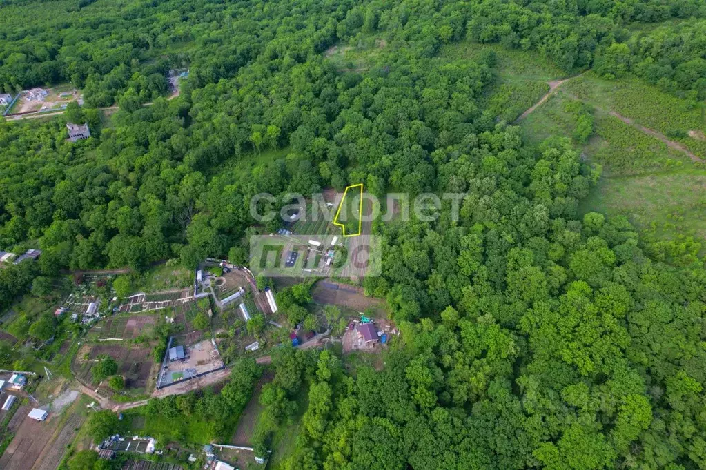 Участок в Приморский край, Артемовский городской округ, с. Суражевка ... - Фото 0