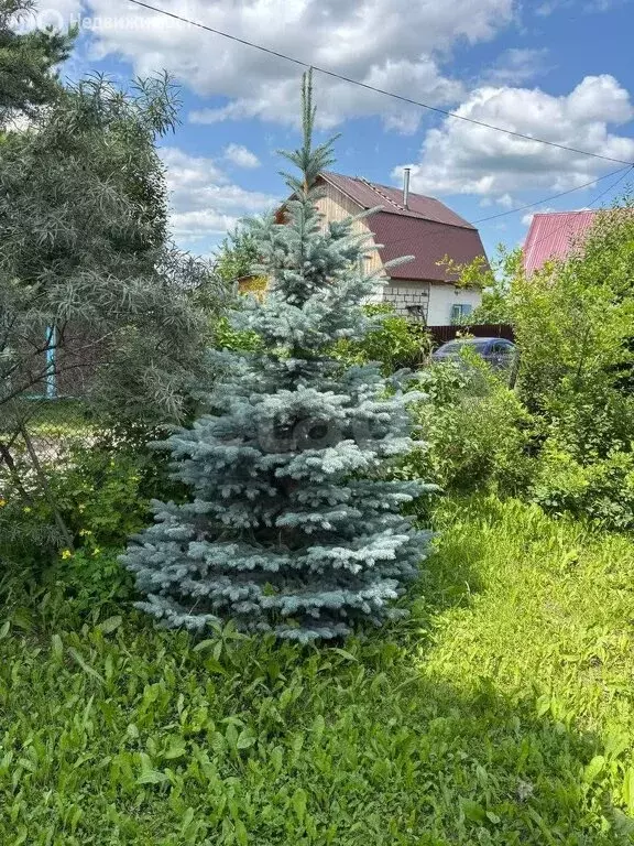 Дом в Кемеровский муниципальный округ, СНТ Приволье (40.6 м) - Фото 1