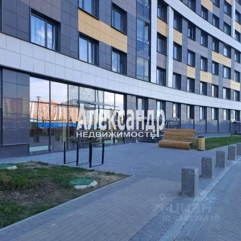 Студия Ленинградская область, Мурино Всеволожский район, просп. ... - Фото 1