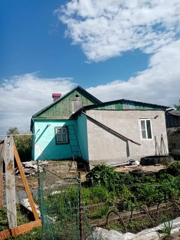 Дом в Челябинская область, Еманжелинск ул. Нагорная (49 м) - Фото 2