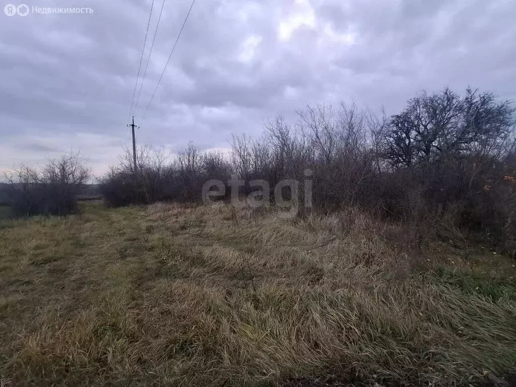 Участок в Новоусманский район, посёлок Отрадное (8.5 м) - Фото 2