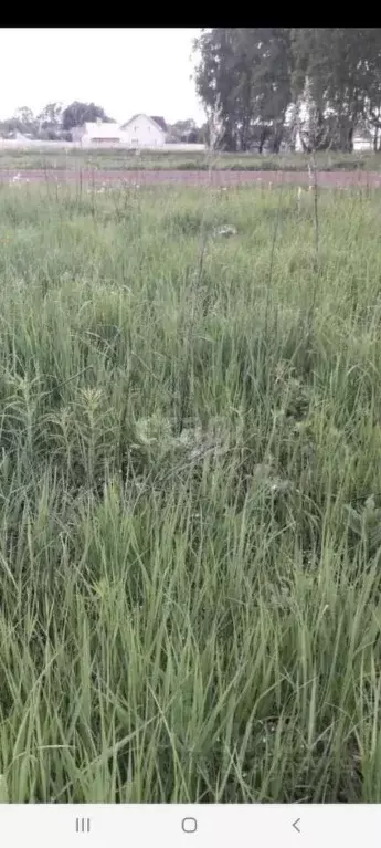 Участок в Калужская область, Дзержинский муниципальный округ, Редькино ... - Фото 1