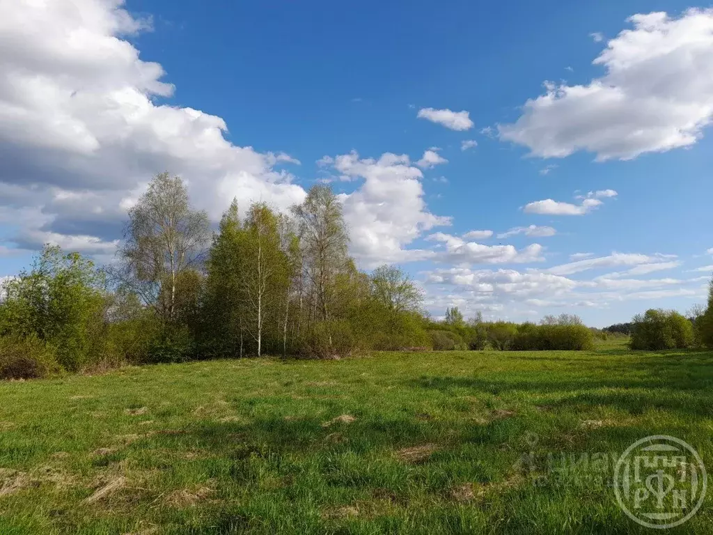 Участок в Ленинградская область, Выборгский район, Красносельское ... - Фото 1