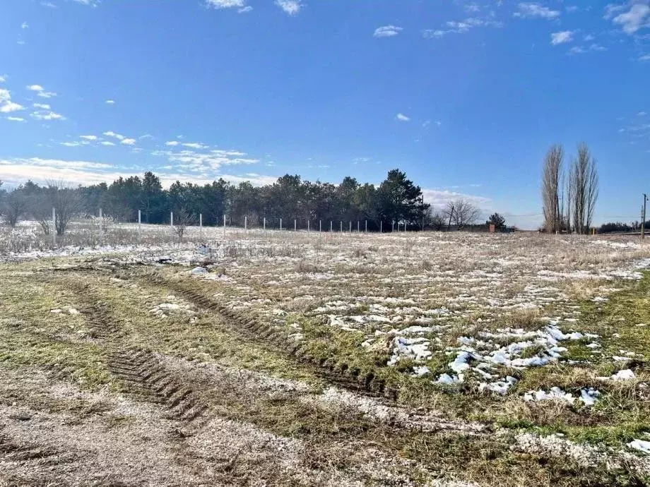 Участок в Крым, Симферопольский район, с. Урожайное, Имени Сахарова ... - Фото 1