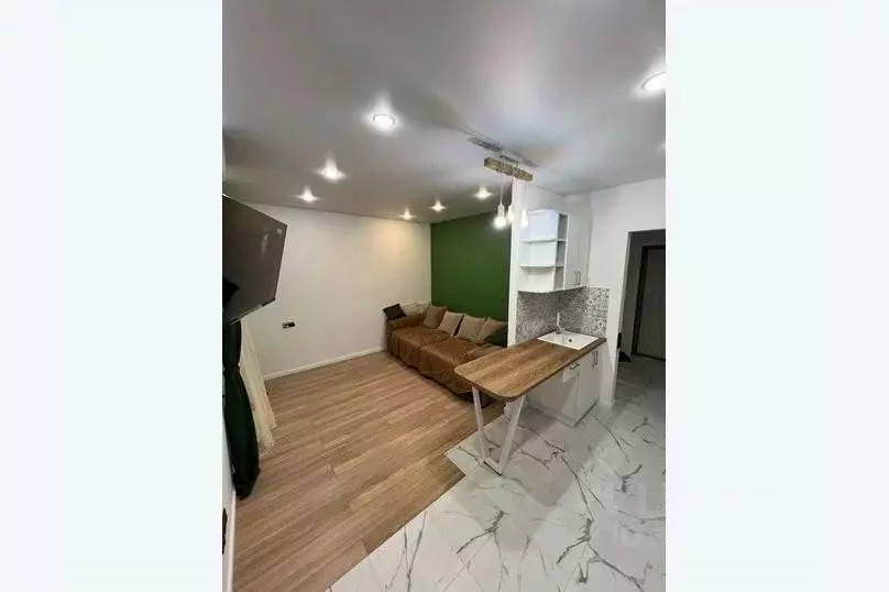 1-к кв. Краснодарский край, Сочи ул. Искры, 66/9 (29.0 м) - Фото 1