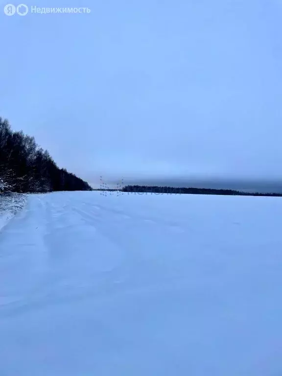 Участок в Нижегородская область, городской округ Бор, деревня Шубино ... - Фото 0