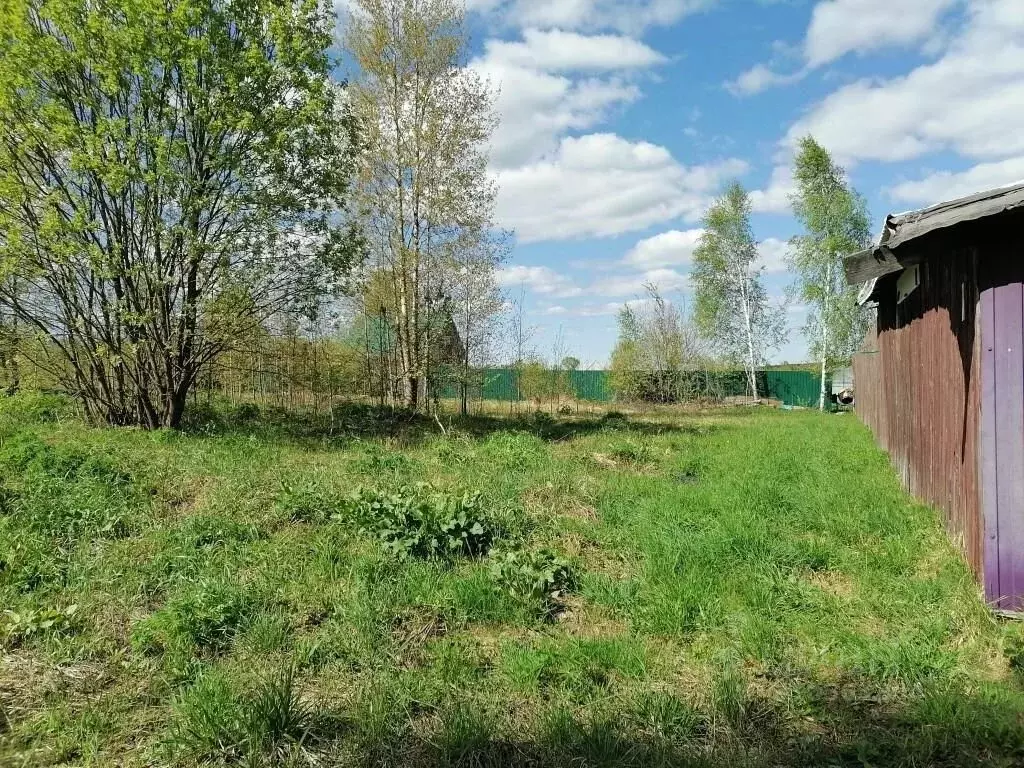 Участок в Владимирская область, Судогодский район, Головинское ... - Фото 1