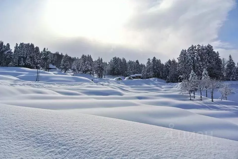 Участок в Татарстан, Нижнекамский район, Шингальчинское с/пос, с. ... - Фото 0