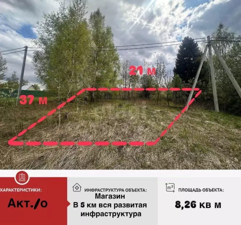 Участок в Владимирская область, Петушинский муниципальный округ, д. ... - Фото 2