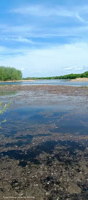 Дом в Саратовская область, Воскресенский район, Елшанское ... - Фото 1