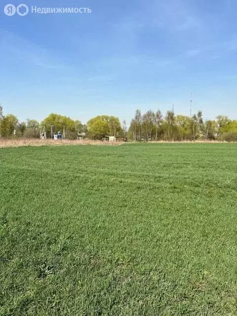 Участок в Московская область, Раменский муниципальный округ, ... - Фото 1