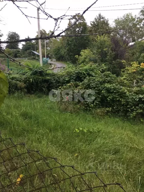 Участок в Краснодарский край, Сочи городской округ, с. Калиновое Озеро ... - Фото 2
