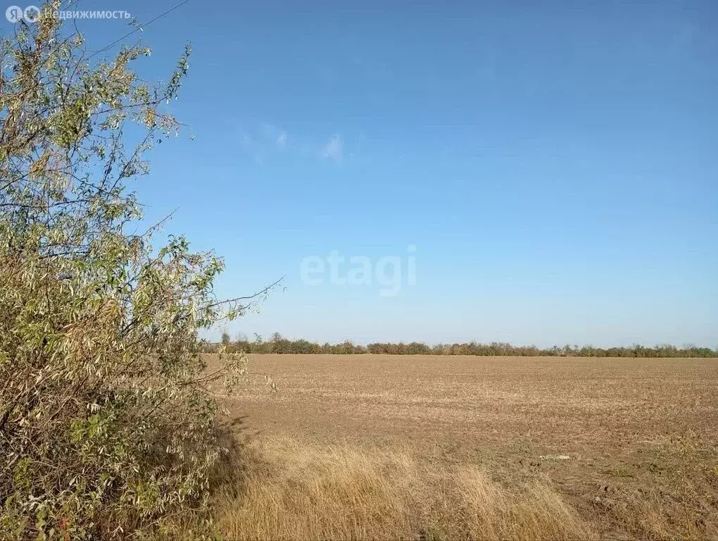 Участок в Восточное, Новая улица (374.1 м) - Фото 1