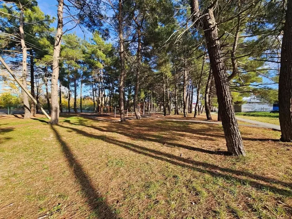 Участок в Краснодарский край, Анапа муниципальный округ, Анапская ... - Фото 2