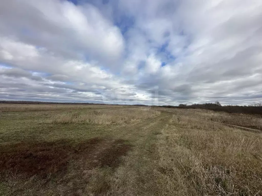 Участок в Тюменская область, Тюмень  (46.64 сот.) - Фото 1