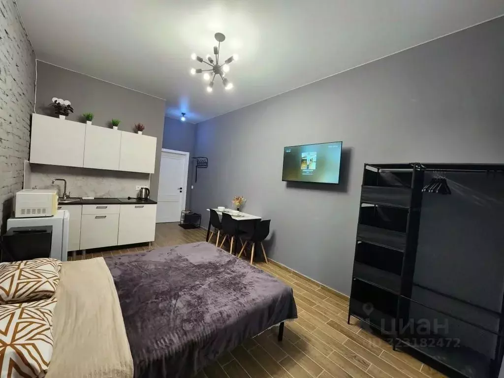 1-к кв. Воронежская область, Воронеж Краснознаменная ул., 167 (25.0 м) - Фото 2