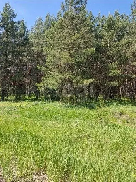 Участок в Саратовская область, Балашовский район, с. Большой Мелик ул. ... - Фото 1