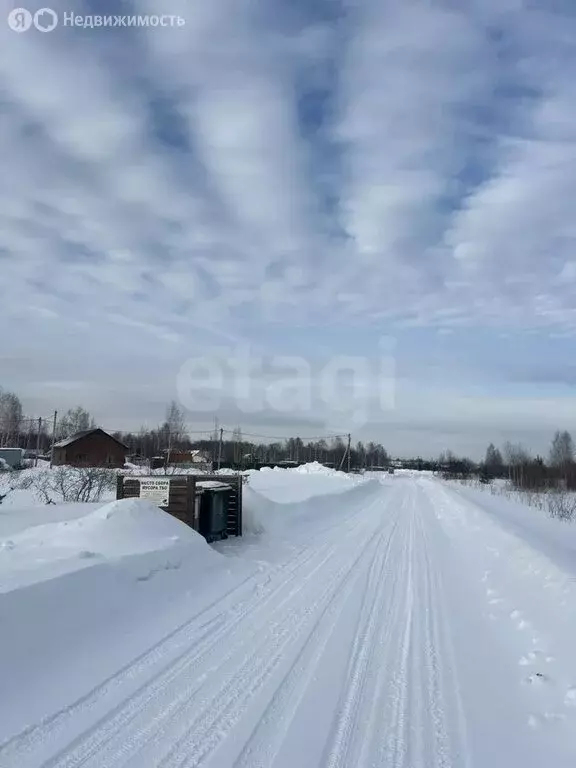 Участок в Новосибирская область, Коченёвский муниципальный район, СНТ ... - Фото 2