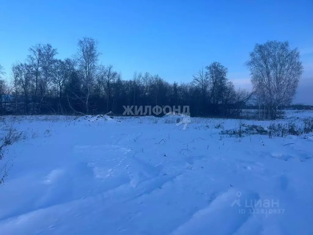 Участок в Новосибирская область, Новосибирский район, Морской ... - Фото 0