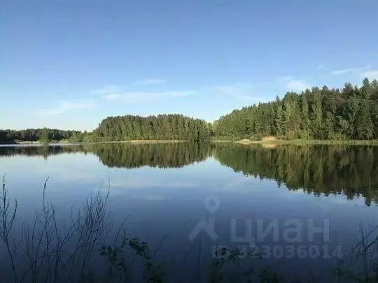 Дом в Новгородская область, Валдайский район, Яжелбицкое с/пос, д. ... - Фото 2
