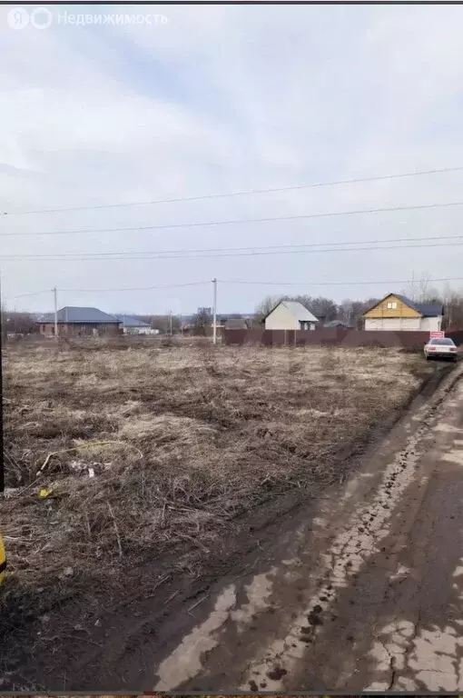 Участок в село Толмачево, Берёзовая улица (12 м) - Фото 0