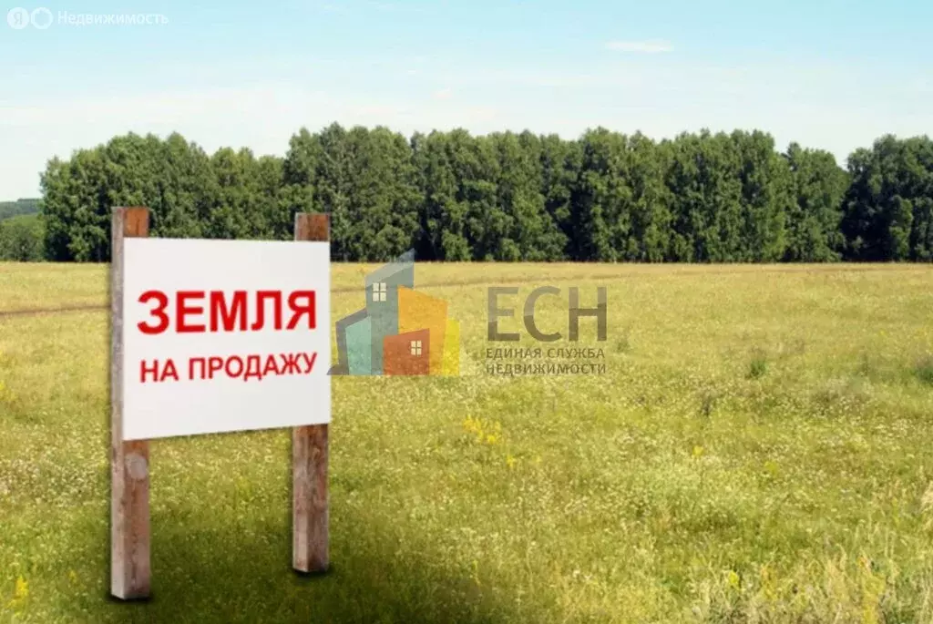 Участок в Дубенский район, сельское поселение Воскресенское, село ... - Фото 0