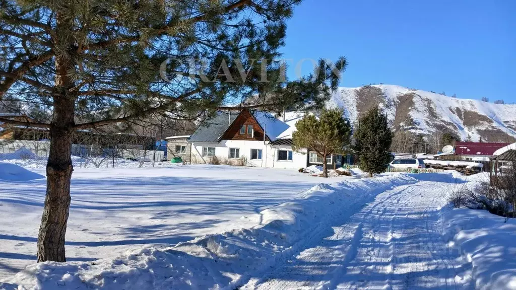 Дом в Алтай, Майминский район, с. Соузга Центральная ул. (59 м) - Фото 1