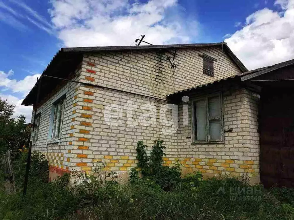 Село Селиваново Белгородская область. Деревня Селиваново Белгородская область.