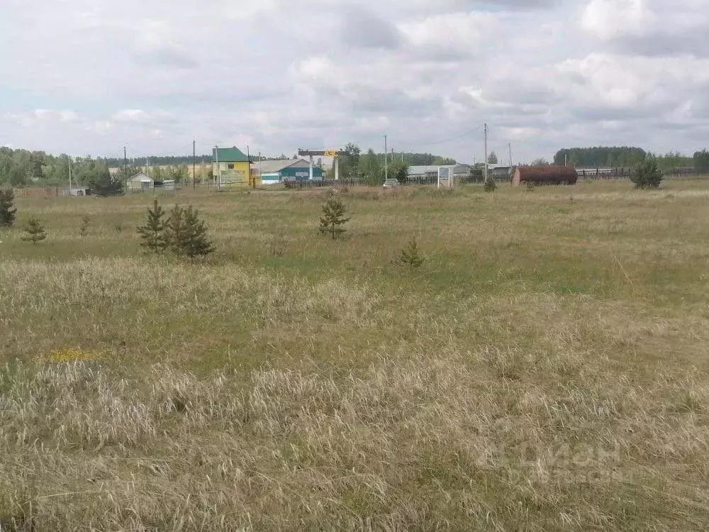 Участок в Иркутская область, Черемховский район, Новогромовское ... - Фото 2