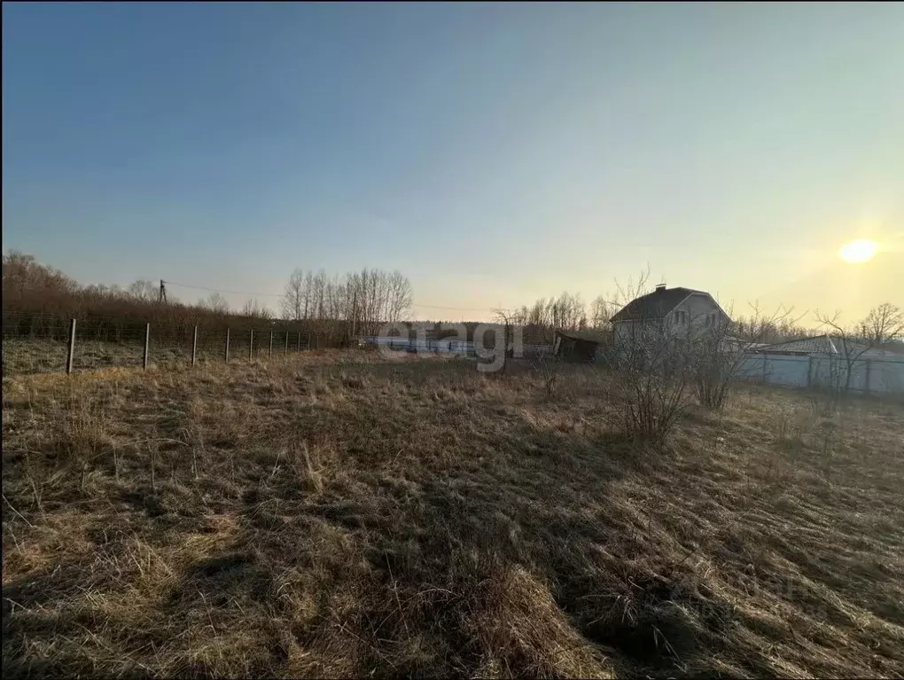 Участок в Воронежская область, Новоусманский район, с. Хреновое Нижняя ... - Фото 0