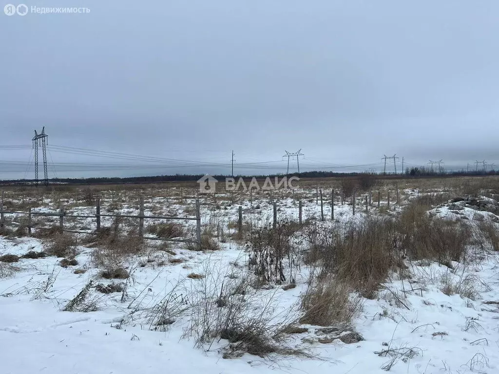 Участок в Ворогушинское сельское поселение, товарищество Сибирь (13.24 ... - Фото 0