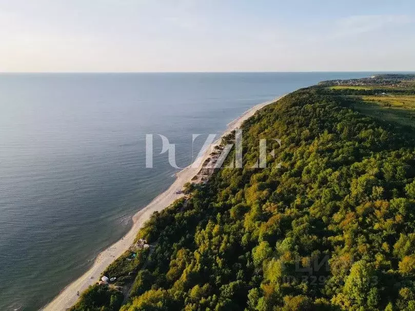 Участок в Калининградская область, Янтарный городской округ, пос. ... - Фото 1